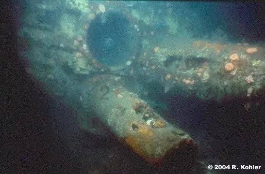 宿迁惠氏生物科技有限公司受让泗洪县一地块，成交价187.72万元