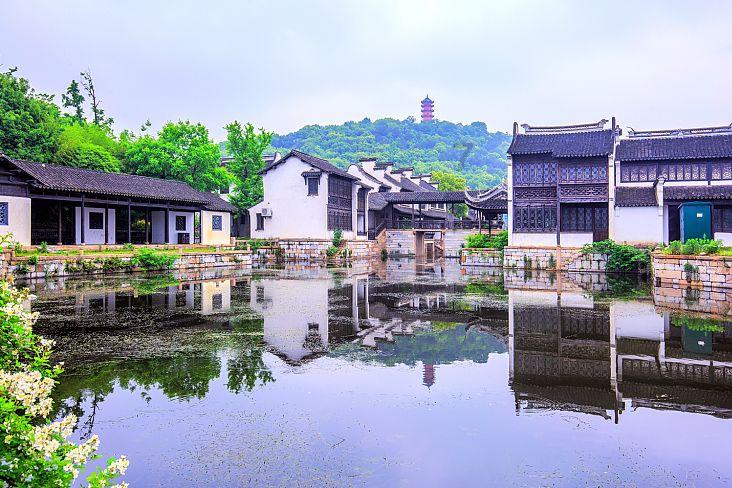 虫虫助手下载